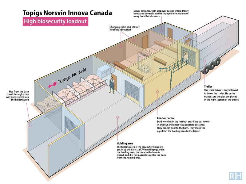 infographic Topigs Norsvin Loadout